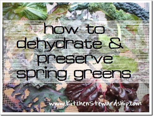 How to Dehydrate Spring Greens