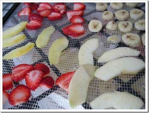 dehydrating fruit
