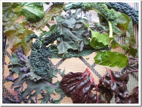 dehydrating greens 