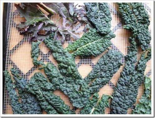 dehydrating greens (5) (475x356)