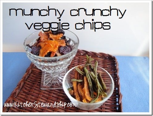 fried and dehydrated veggie snacks top image fried and dehydrated veggie snacks top image