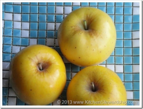 Opal Apple