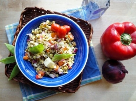 summer sprouted lentil salad (19) (475x356)