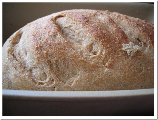 artisan bread in 5 minutes a day (12)