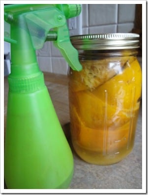 citrus cleaner (1) (356x475)
