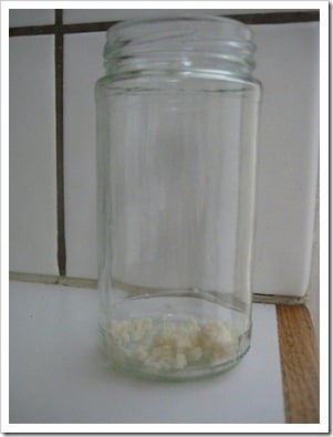 milk kefir grains in empty jar