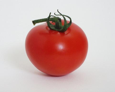 tomato2 tomato2