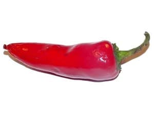 chili-pepper