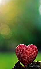 heart