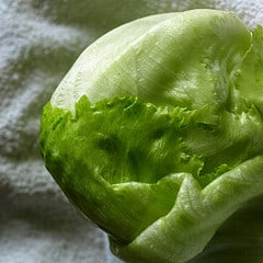iceberg iceberg