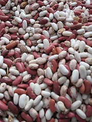 dry-beans