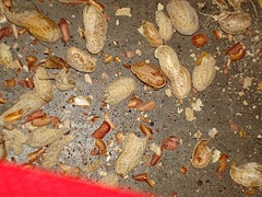 peanuts peanuts