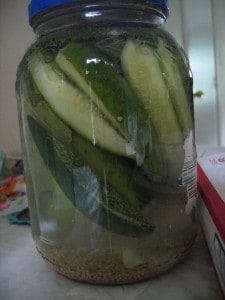 img_7382 lacto-fermentation pickles traditionally fermented cucumbers
