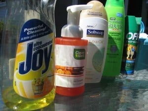 img_7554 img_7554