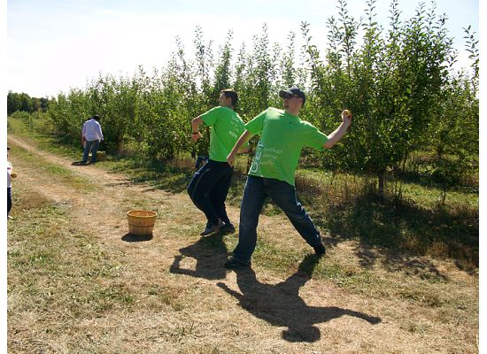 men throw apples