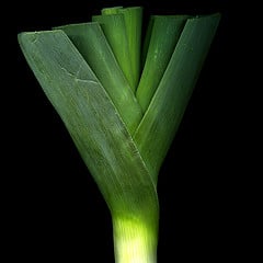 leek