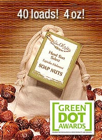 soap nuts