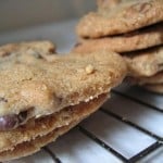 chocolate chip cookies 3