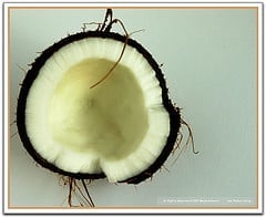 coconut