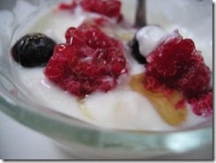 homemade yogurt with frozen fruit