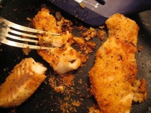 tilapia 
