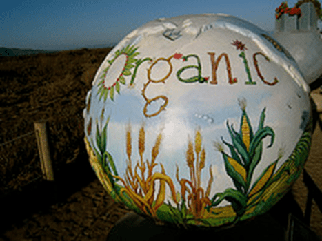 organic farming produce