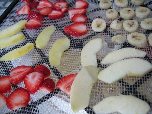 dehydrating fruit