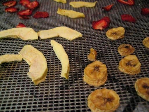 dried apples and bananas