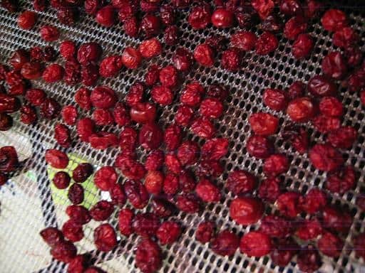 dried cranberries