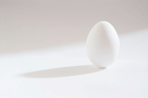 egg