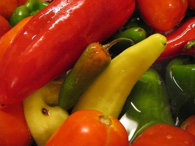 salsa canning (4)