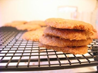 small Pecan Crumblies grain free cookies (1) small Pecan Crumblies grain free cookies (1)