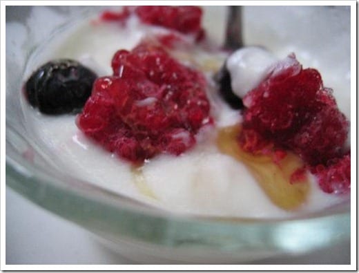 homemade yogurt with frozen fruit