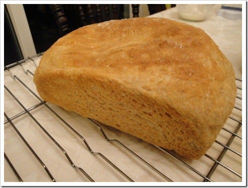 happy housewife rolls (12) (475x356)