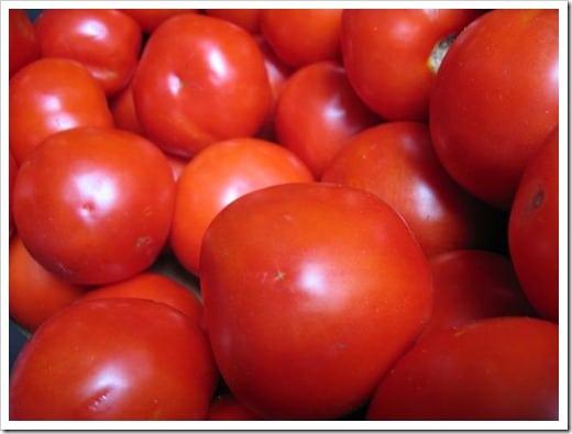 canning tomatoes (4)