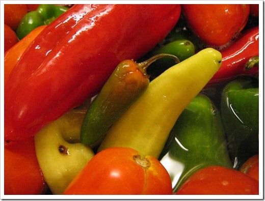 salsa canning (4)
