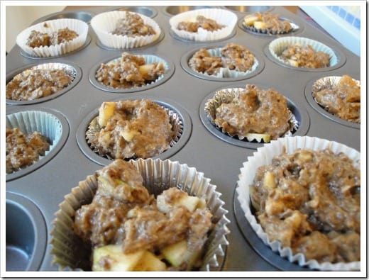apple flax muffin batter (5) (500x375)