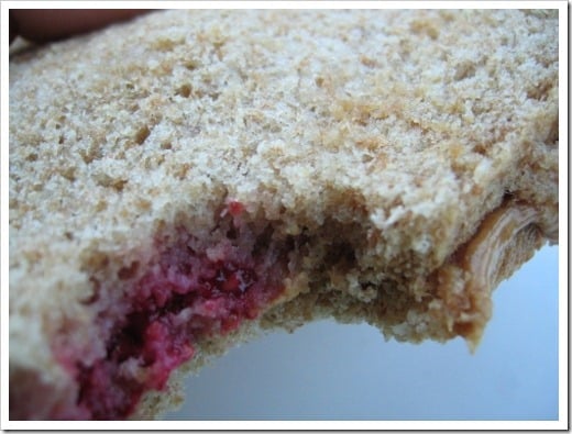 Sandra's bread sandwich (1) (500x375)