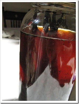 homemade vanilla extract day two