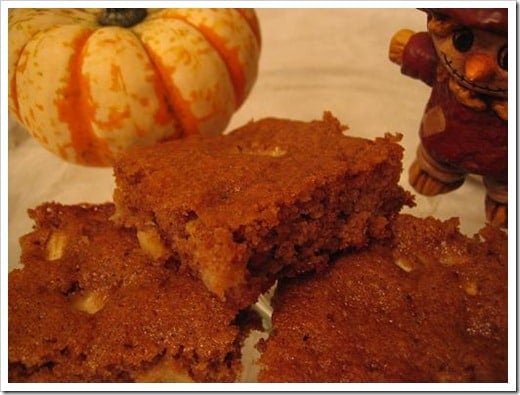 apple squares (2)