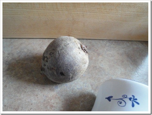 beet (1) (475x356)