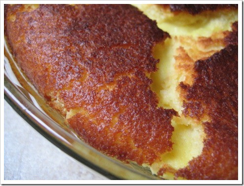 coconut blender pie (5) (475x356)