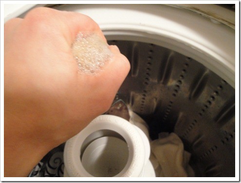 soap nuts suds (4) (475x356)