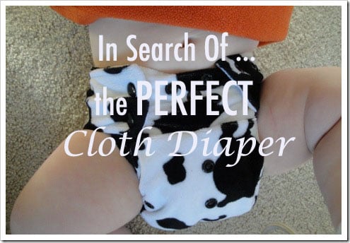 go green pocket diaper cow print