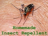 Homemade Insect Repellent/ Homemade Insect Repellent