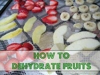 How to Dehydrate Fruits/ How to Dehydrate Fruits