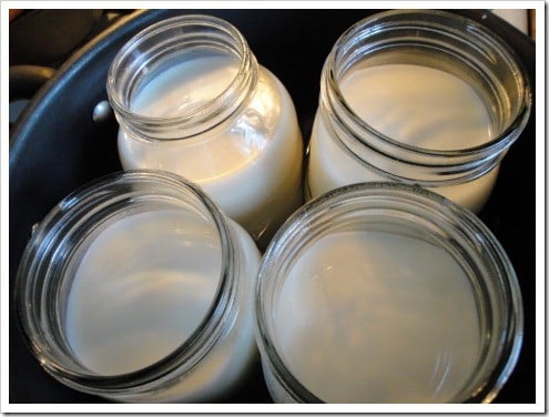making homemade raw yogurt