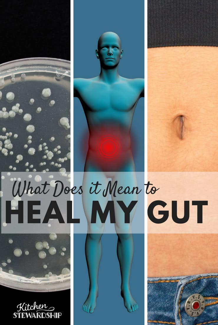 What the Heck does it Mean if I Have to Heal my Gut?