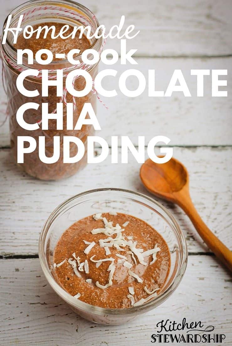 Homemade No-Cook Chocolate Chia Pudding Recipe (Dairy-Free!) Blended so there aren't any weird whole seeds! Homemade No-Cook Chocolate Chia Pudding Recipe (Dairy-Free!)