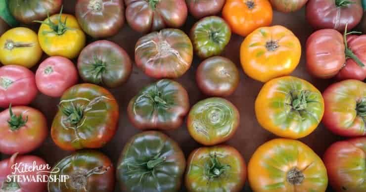 3 Easy Ways to Preserve Tomatoes (That Don't Involve Canning!)